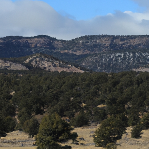 Sell land in New Mexico for cash