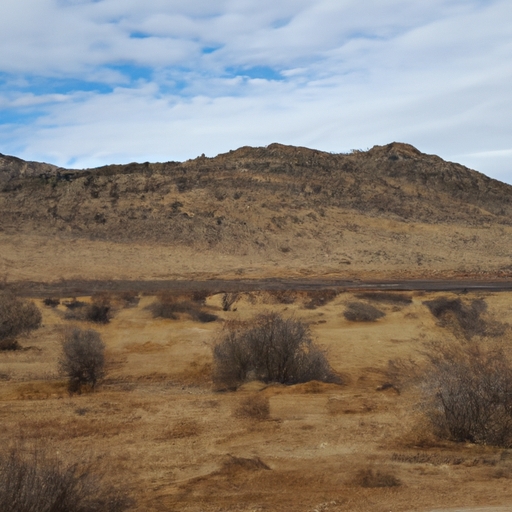 New Mexico land buyers