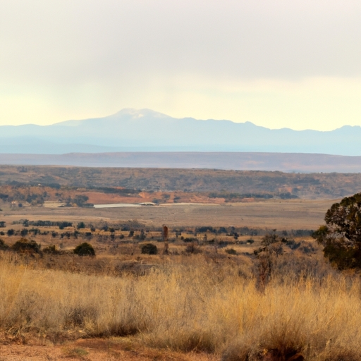 New Mexico land quick cash