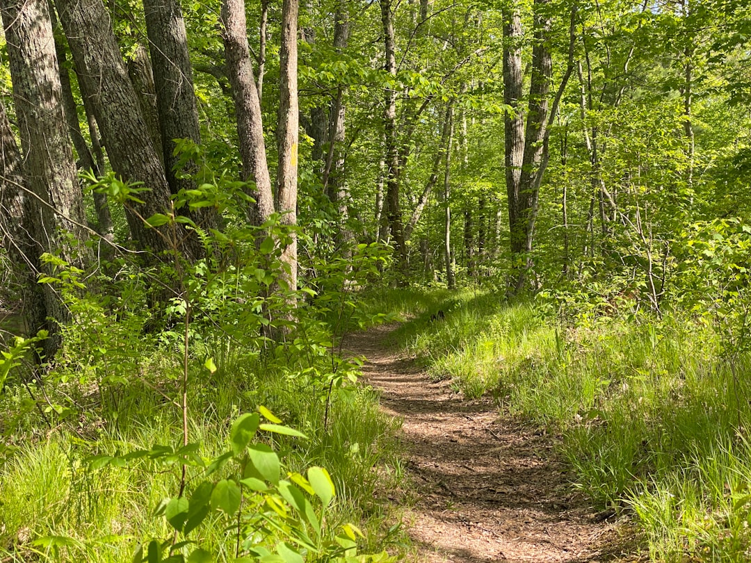 Connecticut land for sale by owner