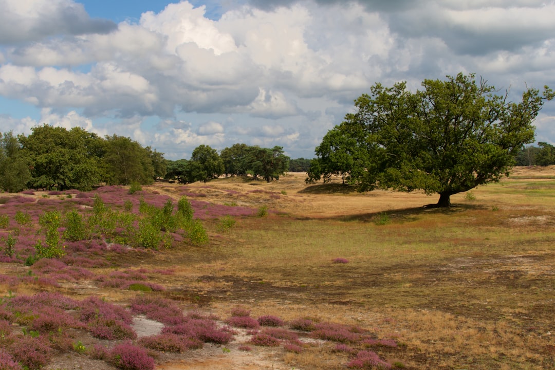 Selling land without a real estate agent