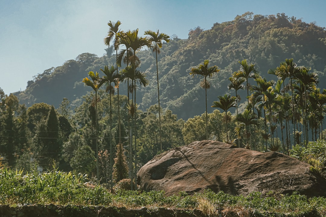 What is the value of Hawaii land when selling it for cash?