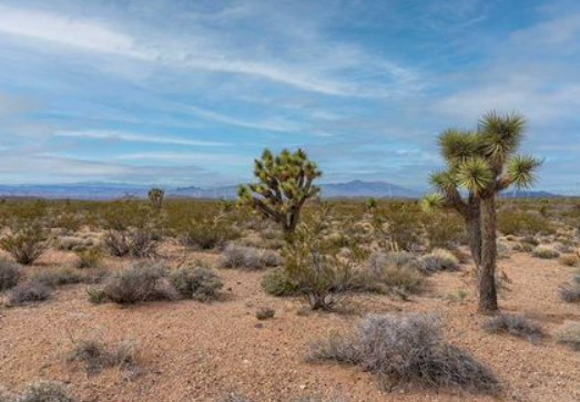 Cash offer for New Mexico land