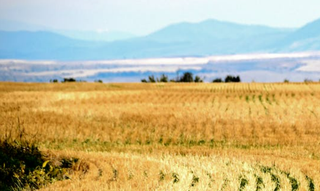 New Mexico land cash sale