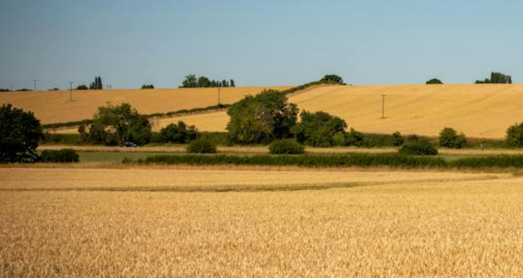 Cash offer for land in New Mexico